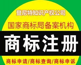 专业团队助力企业初创上市、挂牌与财税服务全流程解析
