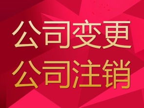 深圳公司注册与代理记账一站式指南 税务疑难无忧解决
